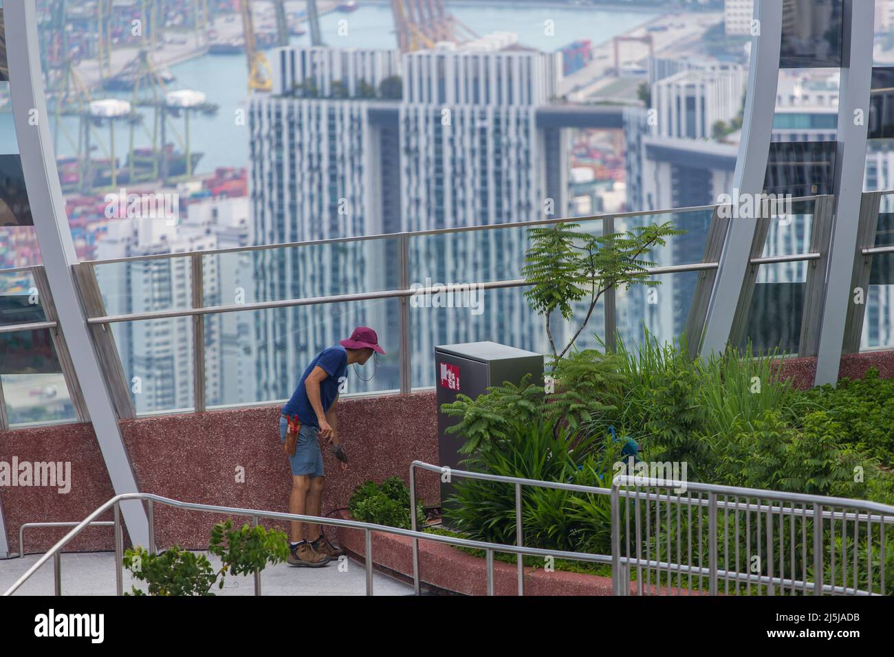 Un giardiniere in cappello a secchio che fa lavori di giardinaggio al CapitaSpring Sky Garden. Punto di vista alto. Singapore. Foto Stock