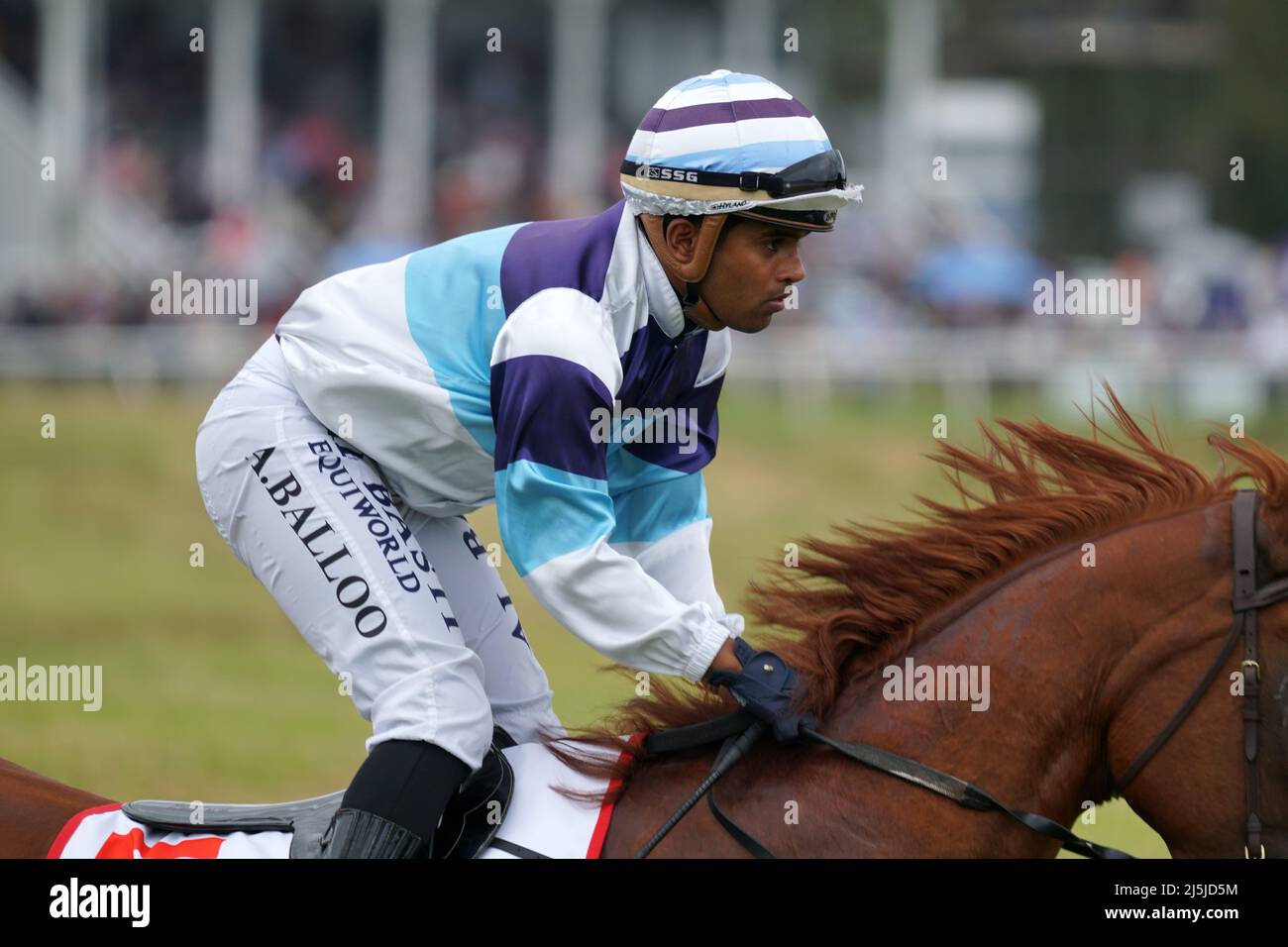 KUMARA, NUOVA ZELANDA, 8 GENNAIO 2022; jockey Akshay Balloo sul campo alla competizione Gold Nuggets al Kumara Race Track, 8 gennaio 2022 . Foto Stock