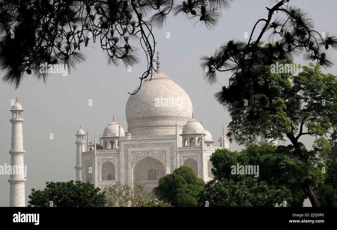 Il Taj Mahal - Monumento dell'Amore Foto Stock