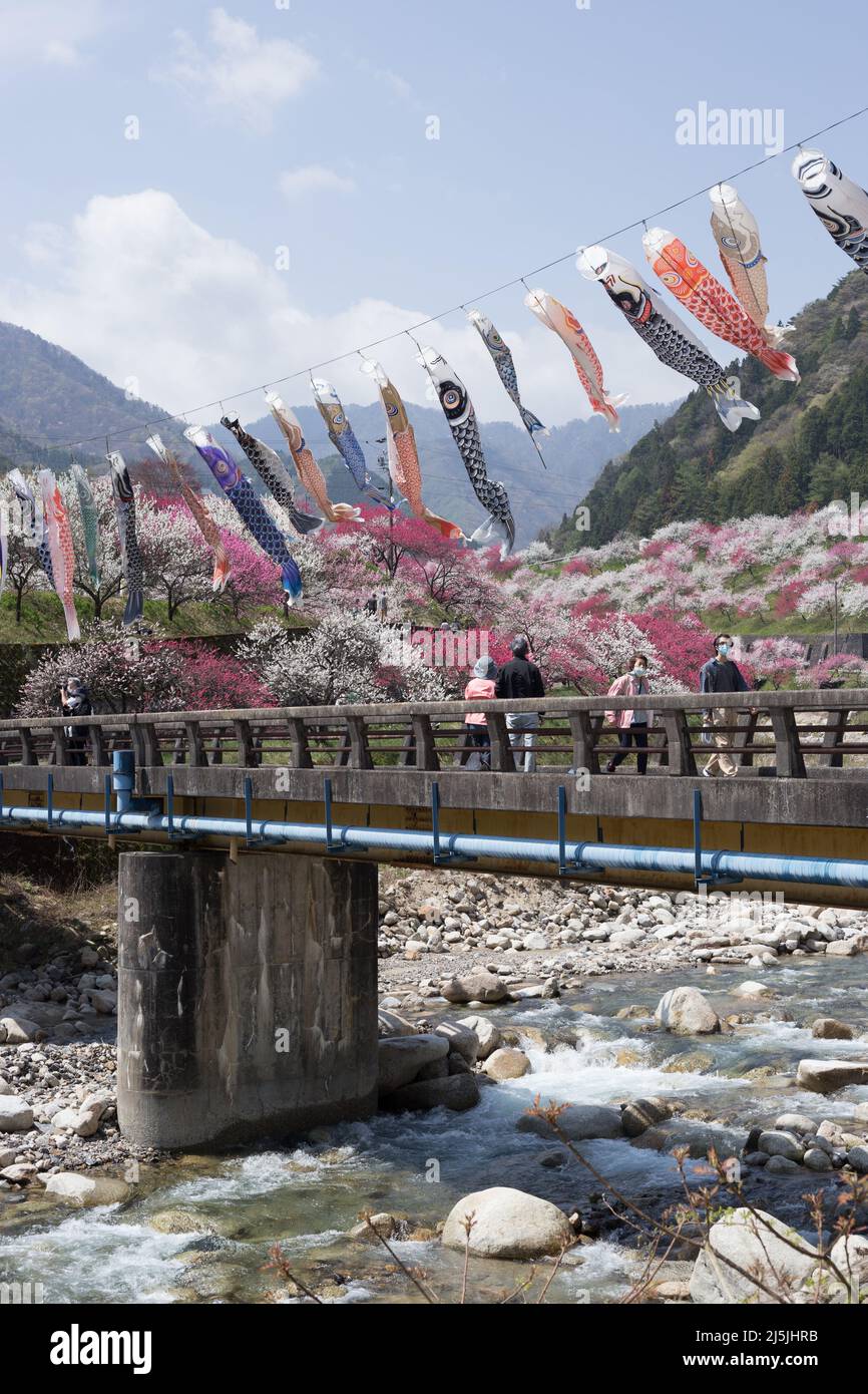 achi Village, nagano, giappone, 2022/23/04 , Koinobori al villaggio di Achi-dura a Nagano, che è uno dei posti migliori per vedere i fiori di pesca. Koinobori, Foto Stock