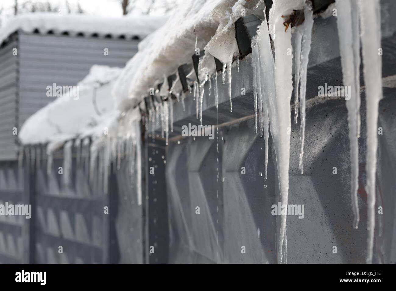 ghiaccioli grandi appesi al tetto. ghiaccioli scioglienti e neve che si sciolono in primavera. recinzione di cemento grigio sotto la neve Foto Stock