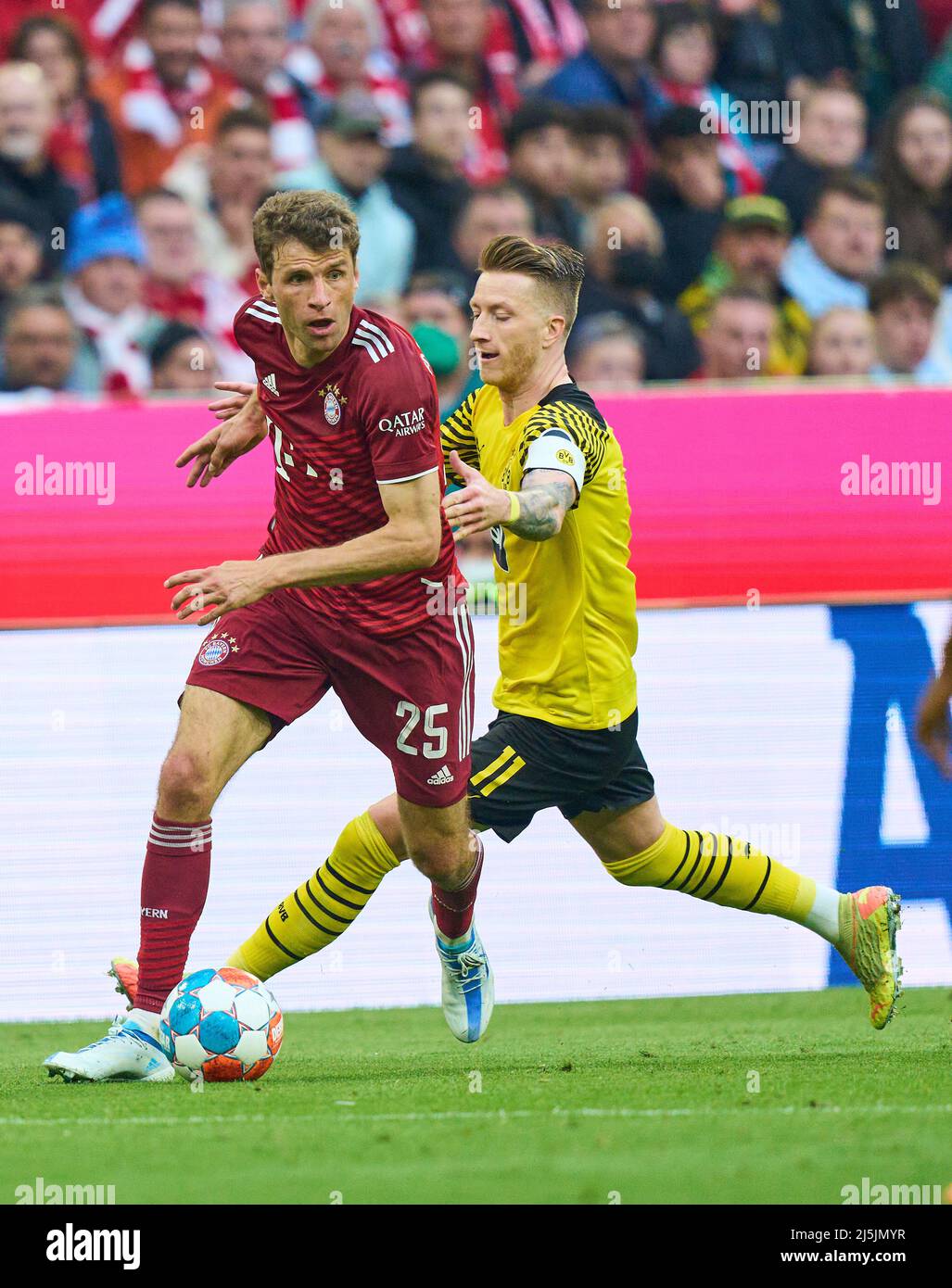 Thomas MUELLER, Müller, FCB 25 gareggiano per la palla, affrontando, duello, header, zweikampf, Azione, lotta contro Marco REUS, BVB 11 nella partita FC BAYERN München - BORUSSIA DORTMUND 3-1 1.German Football League il 23 aprile 2022 a Monaco di Baviera, Germania. Stagione 2021/2022, partita giorno 31, 1.Bundesliga, München, 31.Spieltag. FCB, BVB © Peter Schatz / Alamy Live News - LE NORMATIVE DFL VIETANO L'USO DI FOTOGRAFIE come SEQUENZE DI IMMAGINI e/o QUASI-VIDEO - Foto Stock