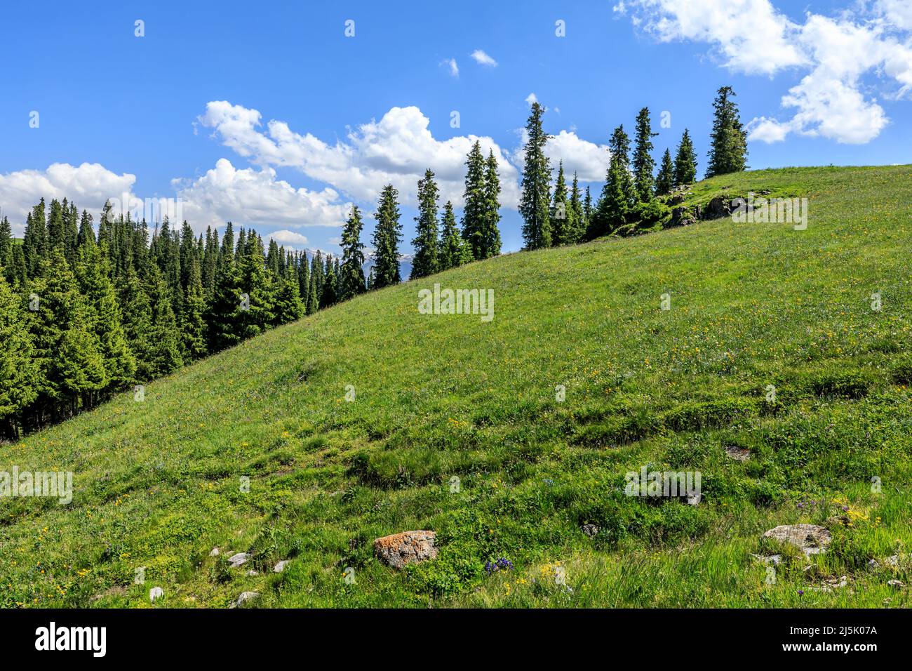 Verde prateria paesaggio naturale a Xinjiang, Cina. Famosa destinazione turistica. Foto Stock