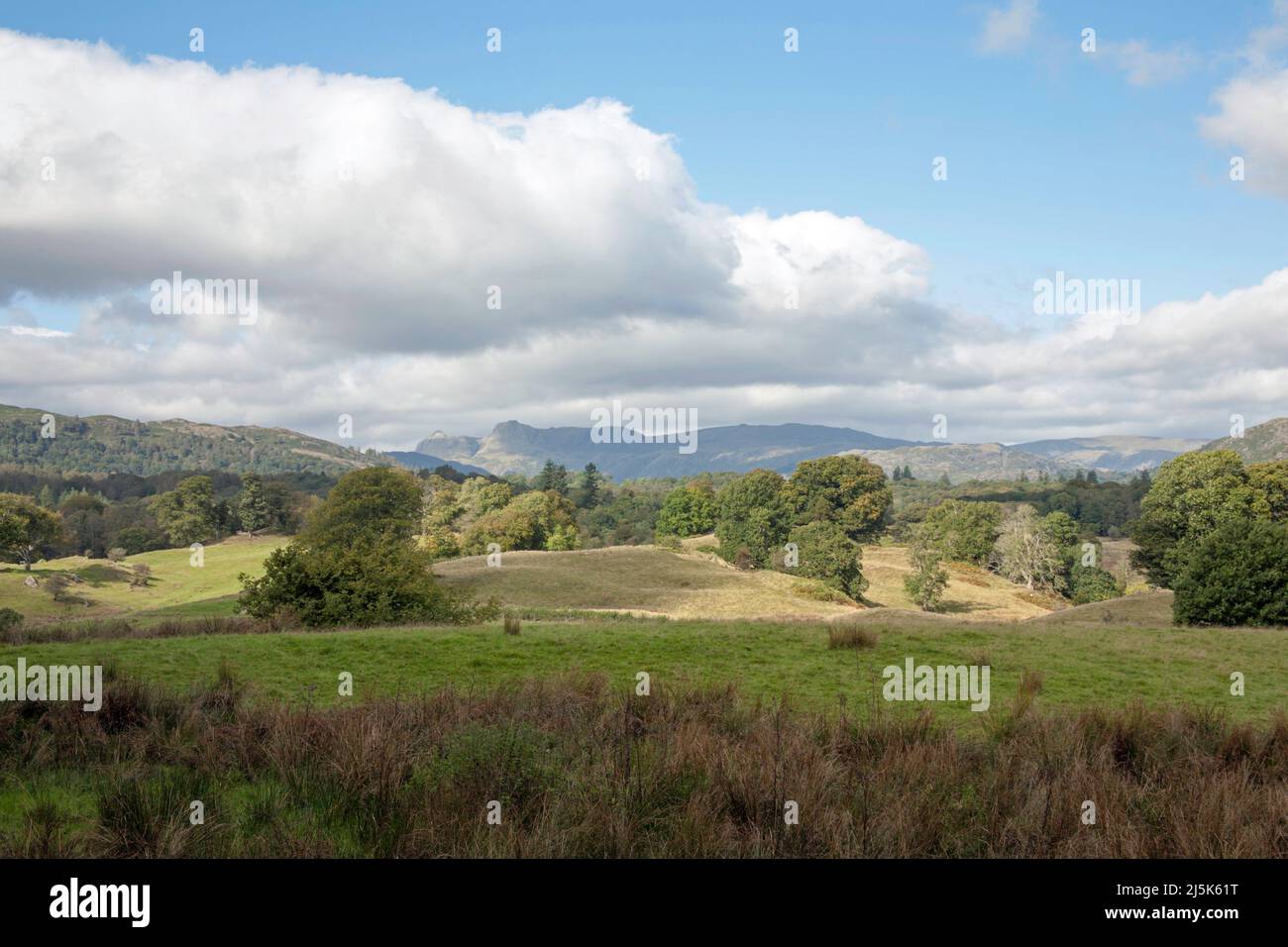 Il Langdale Pikes visto dalle pendici di Letterbarrow vicino Hawkshead il Lake District Cumbria Inghilterra Foto Stock