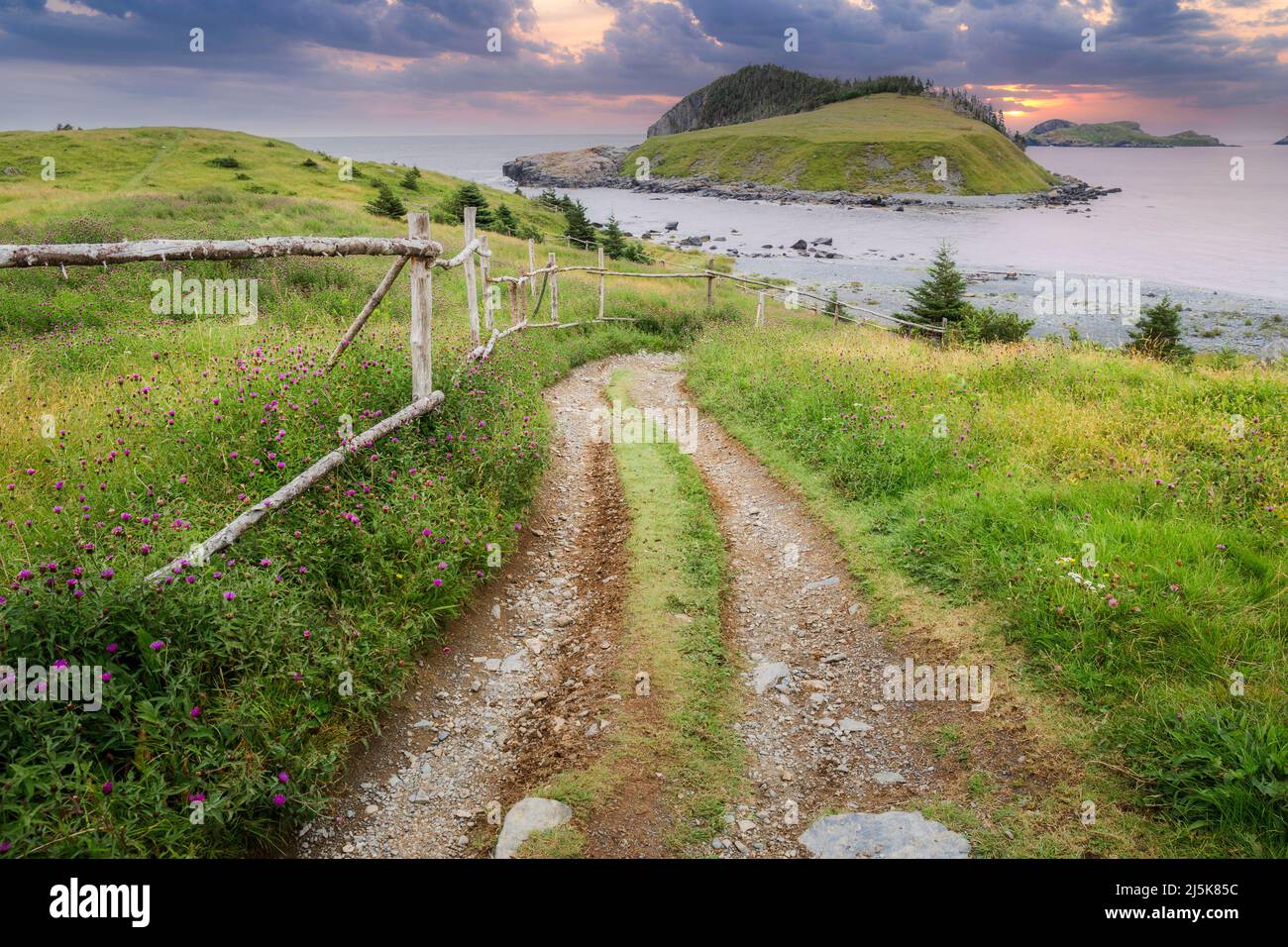 Vecchia recinzione di legno che porta alla spiaggia con le isole in lontananza in Tors Cove, Terranova, canada Foto Stock