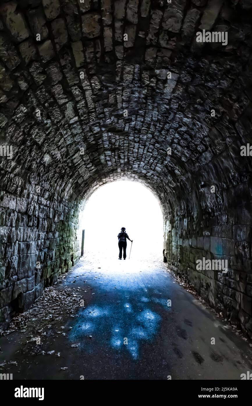 Sentiero per donne attraverso Dixon's Bridge nello storico Bridge Park, Calhoun Country, vicino a Battle Creek, Michigan, USA Foto Stock