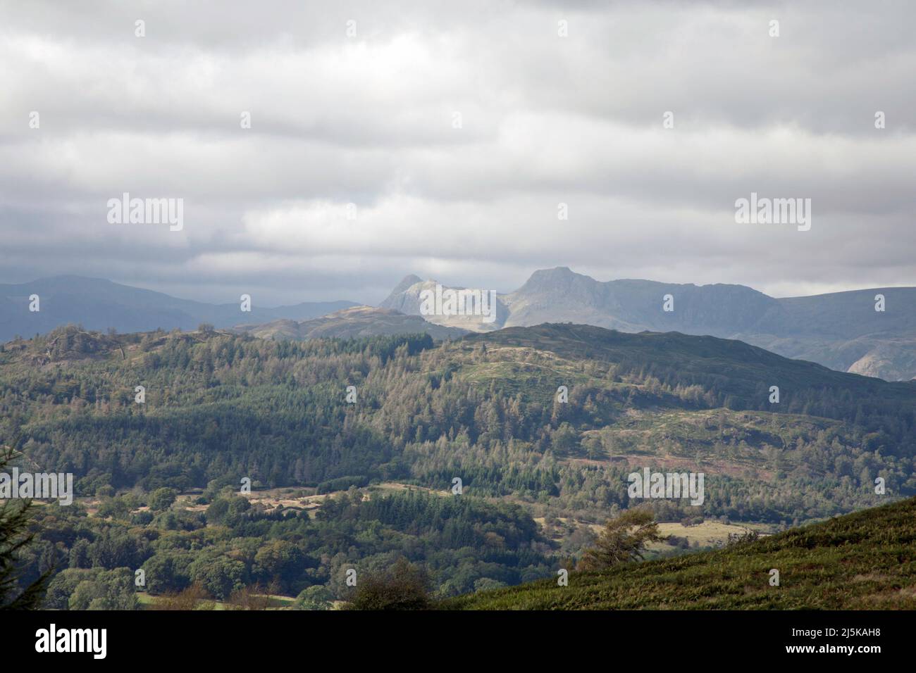 Il Langdale Pikes visto da Letterbarrow vicino Hawkshead il Lake District Cumbria Inghilterra Foto Stock