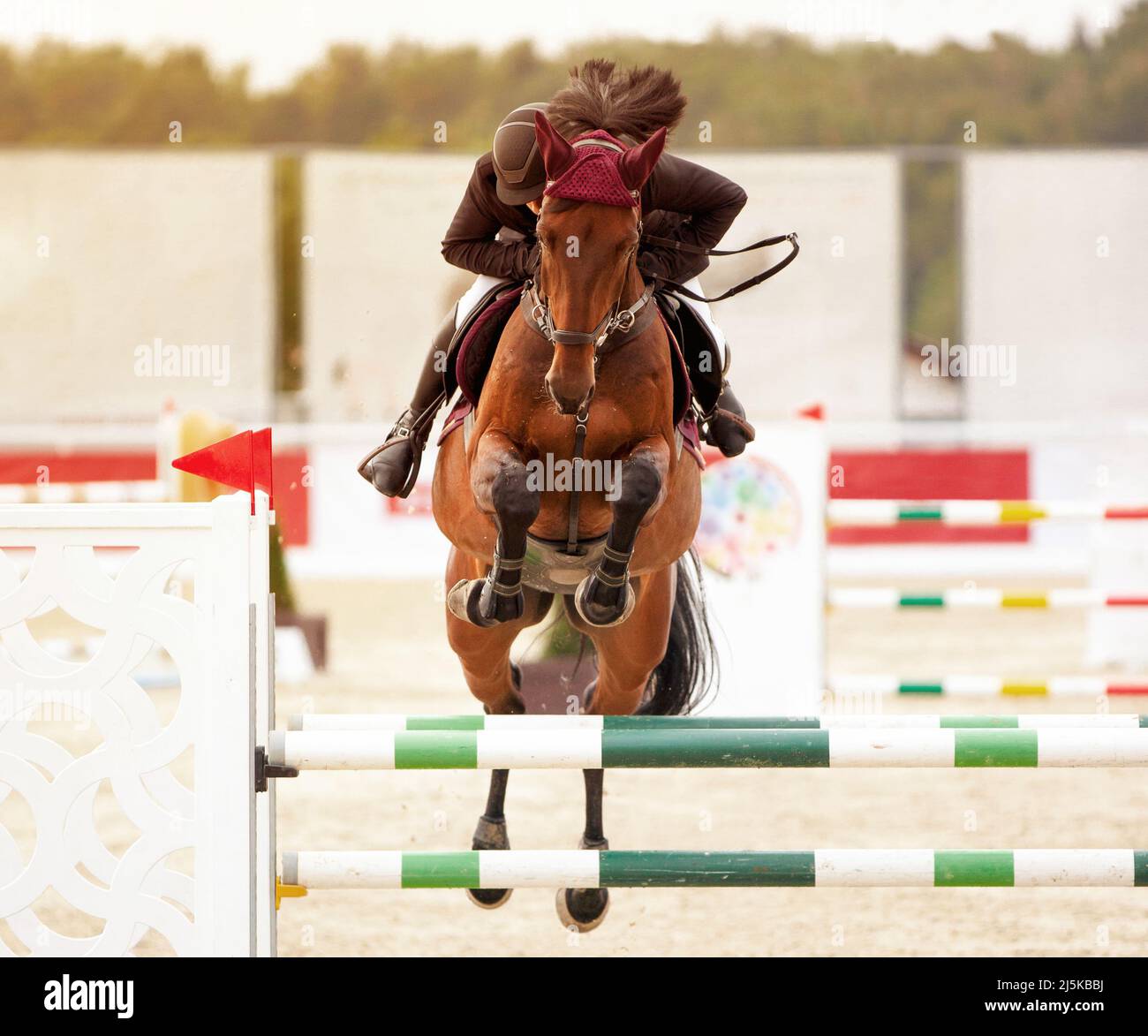 Il jockey su cavallo marrone supera un ostacolo. Gara di salto. Campione. Equitazione. Sport equestre. Cavallo equestre. Poster dello sport Foto Stock