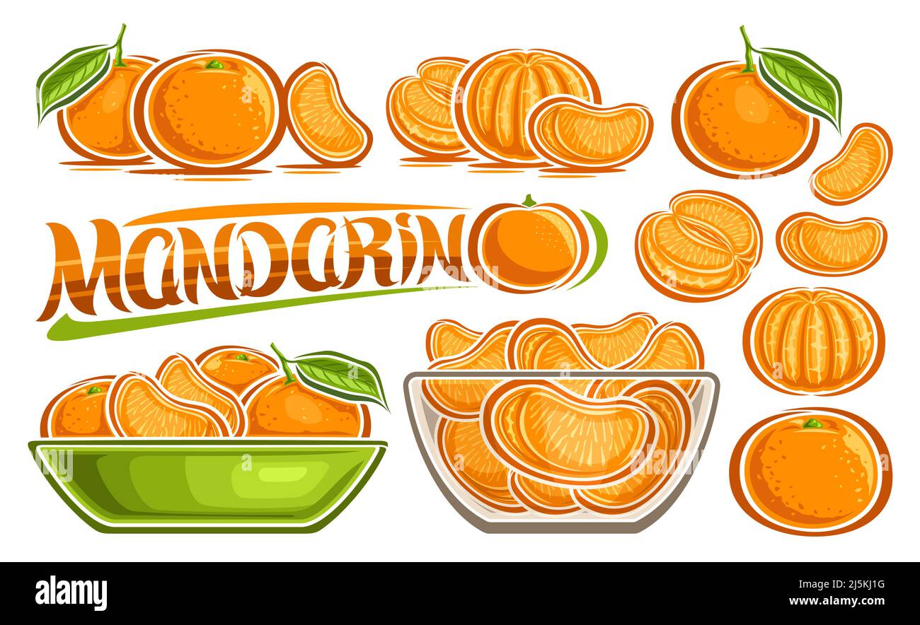 Vettore Mandarin Set, banner orizzontale con raccolta di lotti di illustrazioni ritagliate varie vita fritta fruttata con foglie verdi, molta varietà uomo maturo Illustrazione Vettoriale