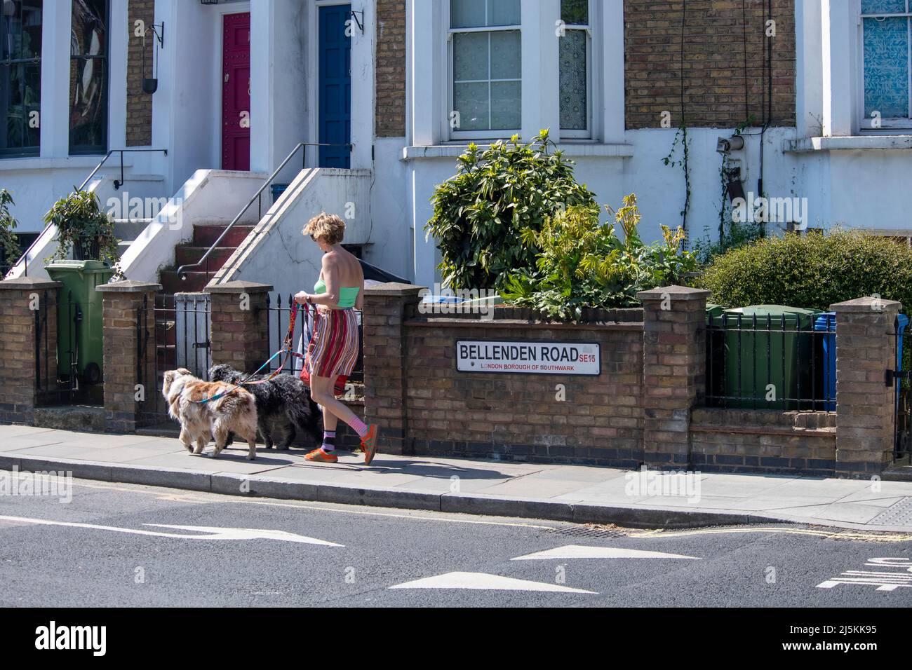 Camminatori di cani a Bellenden strada Peckham Londra Foto Stock