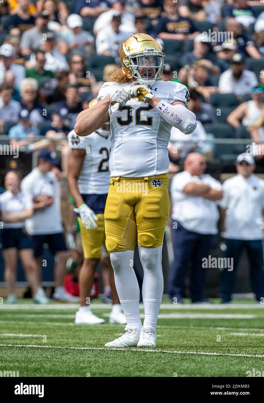 South Bend, Indiana, Stati Uniti. 23rd Apr 2022. Notre Dame linebacker Bo Bauer (52) durante la partita di calcio annuale di Notre Dame Blue-Gold Spring allo stadio Notre Dame di South Bend, Indiana. Oro sconfitto Blu 13-10. John Mersies/CSM/Alamy Live News Foto Stock