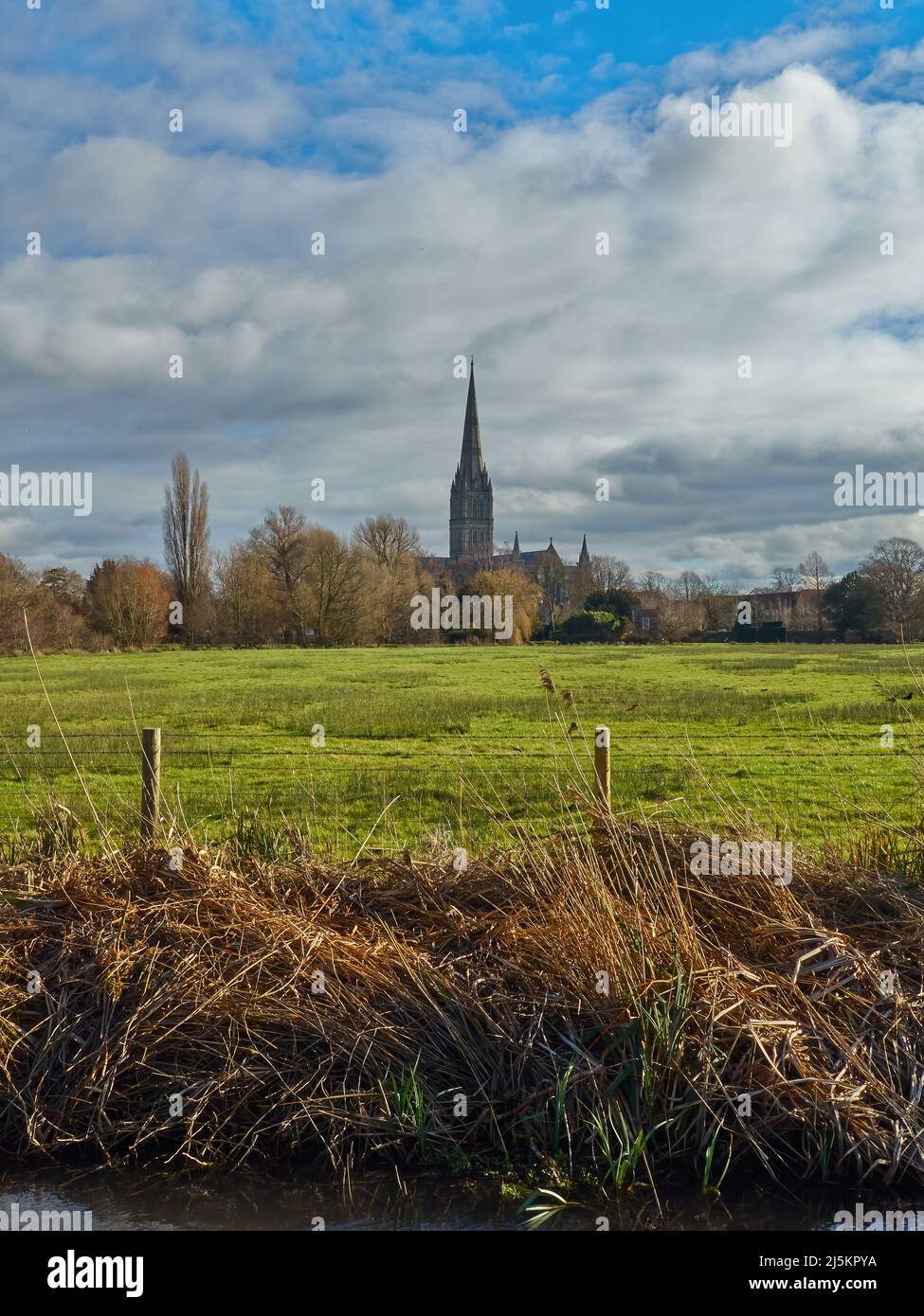 Una vista della Cattedrale di Salisbury in una luce solare distesa, guardando attraverso il verde di Harnham Water Meadows e con un cielo nuvoloso blu e cotone-lana. Foto Stock