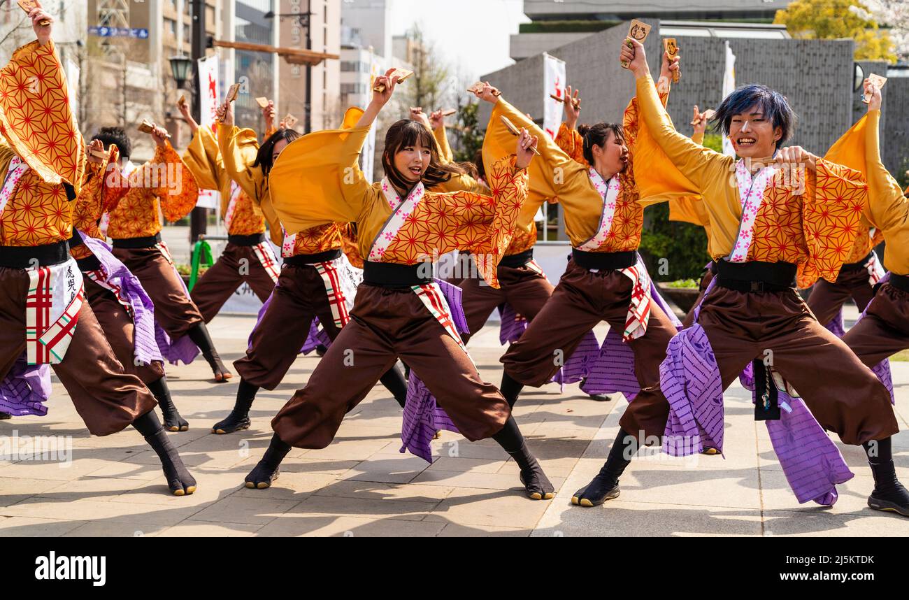 Squadra giapponese di ballerini Yosakoi che ballano in toniche yukata e tengono naruko, clappers, all'aperto durante la primavera del festival Kyusyu Gassai a Kumamoto. Foto Stock