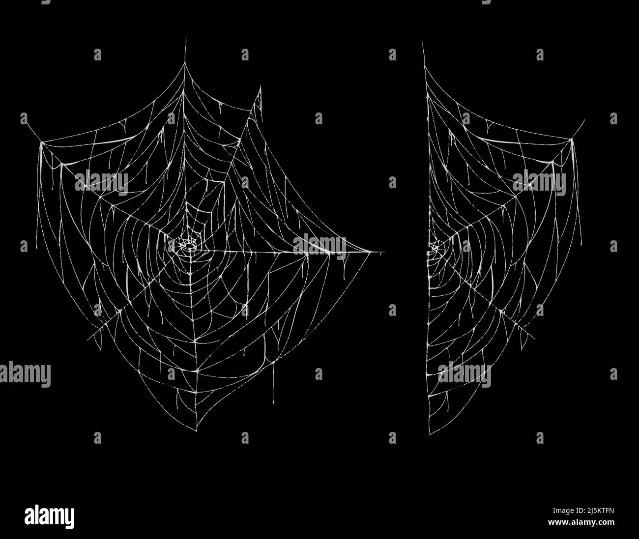 Illustrazione vettoriale di spiderweb, intero e parziale, bianco spoky cobbweb isolato su sfondo nero. Rete appiccicosa appesa, trappola ragno per catturare insetti. Illustrazione Vettoriale