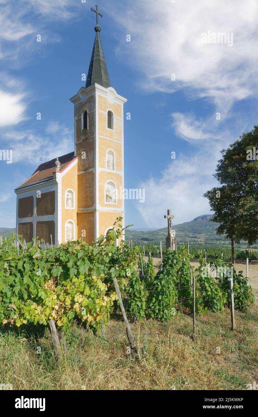 Chiesa in vigneto di Badacsony, Balaton, Ungheria Foto Stock