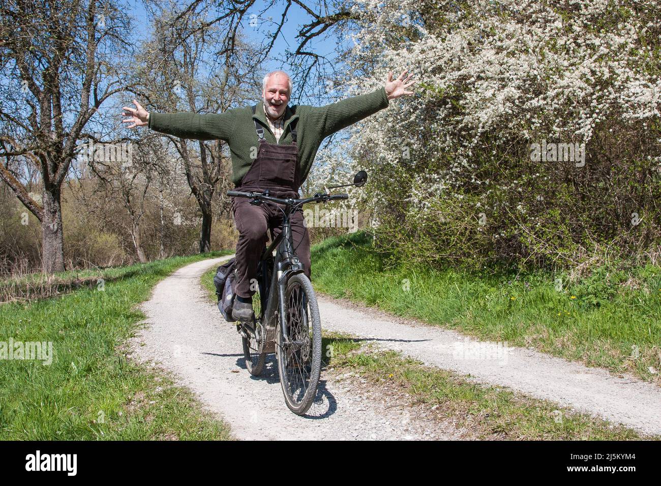 L'uomo anziano divertente guida la sua bicicletta a mani libere su una strada sterrata, passando da cespugli di sloe fioriti e ride a fondo alla macchina fotografica. Gli piace andare in bicicletta in primavera. Foto Stock