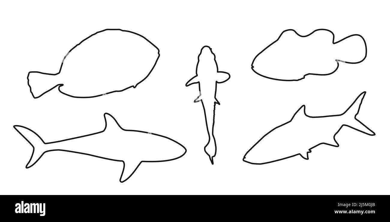 Set nero silhouette contorno clownfish, sardine, goldfish e Surgeonfish segno icona su sfondo bianco. Illustrazione del ritaglio vettoriale. Illustrazione Vettoriale