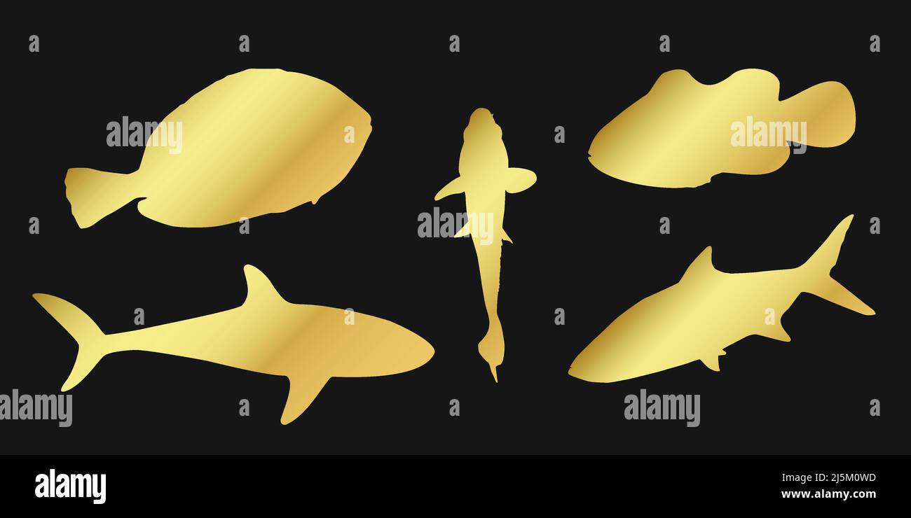 Set silhouette dorata clownfish, sardine, goldfish e Surgeonfish segno icona su sfondo nero. Illustrazione del clpart vettoriale oro. Illustrazione Vettoriale