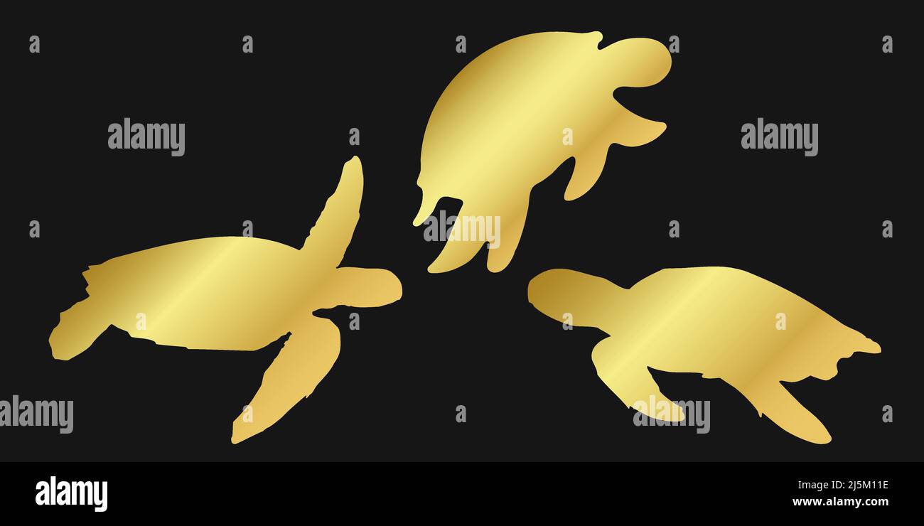 Imposta l'icona della tartaruga o tartaruga dorata su sfondo nero. Illustrazione del clpart vettoriale oro. Illustrazione Vettoriale