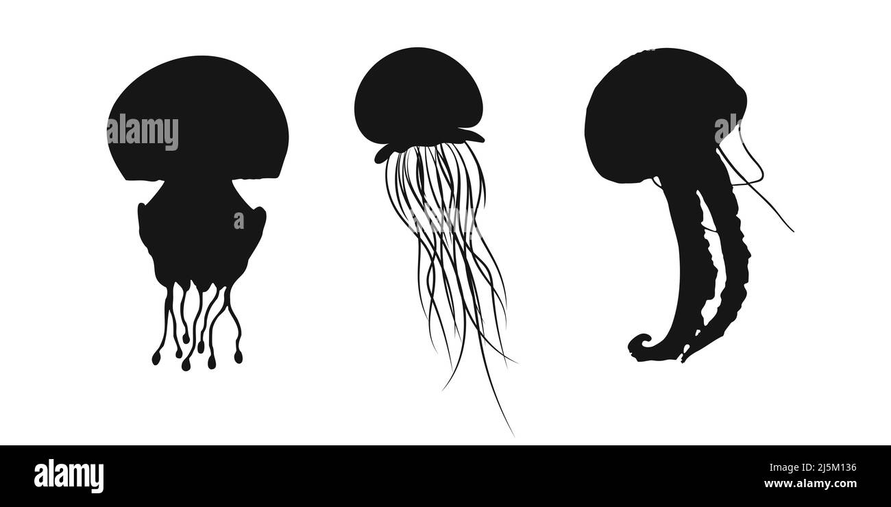Imposta su sfondo bianco l'icona di medusa, medusa, medusa, medaglione di mare o pesce ortico nero. Illustrazione del ritaglio vettoriale. Illustrazione Vettoriale