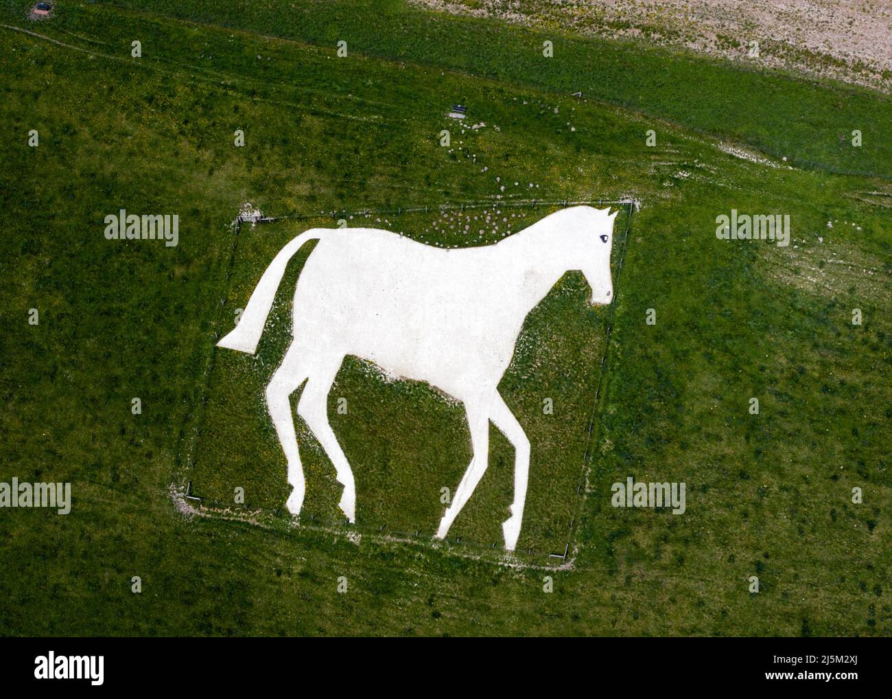 Devizes Millennium White Horse (noto anche come "Chalkie") a Roundway Hill, nella periferia di Devizes, Wiltshire, è stato completato il 29 settembre 1999. Foto Stock