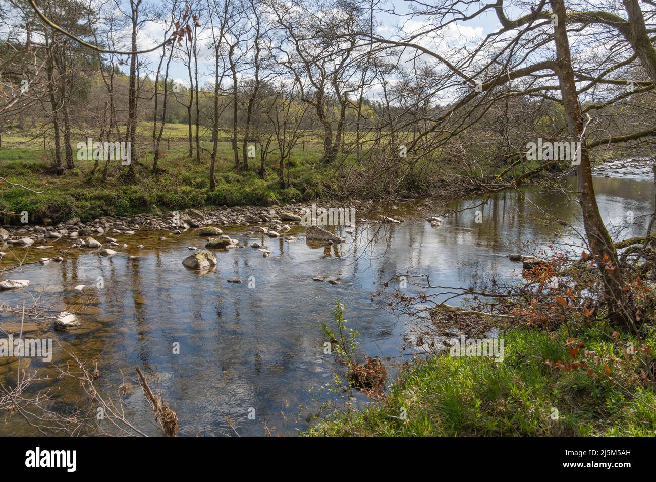 Il fiume Allen, a Allen Banks, Northumberland, Regno Unito, vicino a Bardon Mill Foto Stock