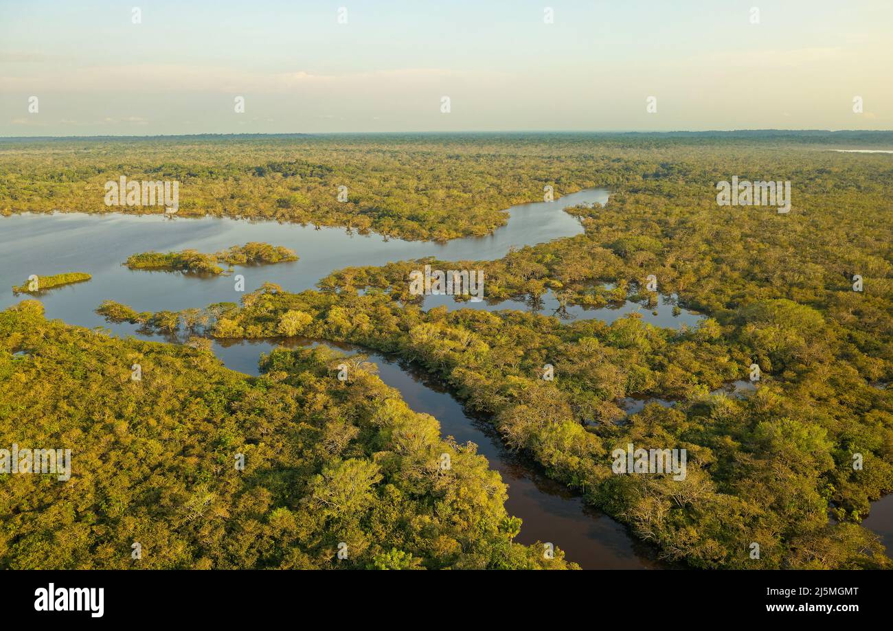 Riserva nazionale amazzonica di Cuyabeno in Ecuador, zona umida con laghi e stagni, fiume con piranas, delfini, caymans, serpenti e uccelli, paesaggista aereo Foto Stock