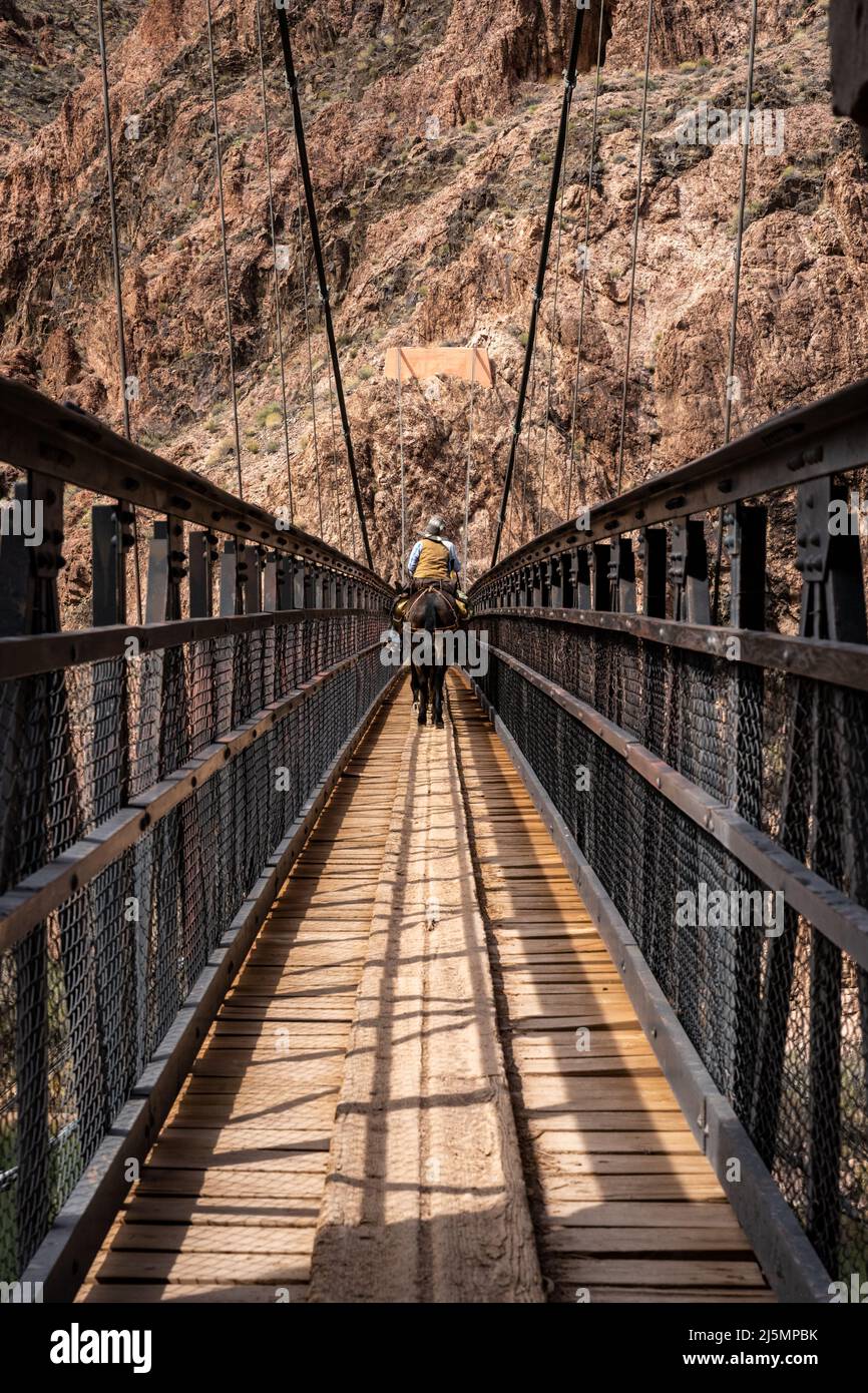 Mule Rider attraversa il Black Bridge in fondo al Grand Canyon in Arizona Foto Stock