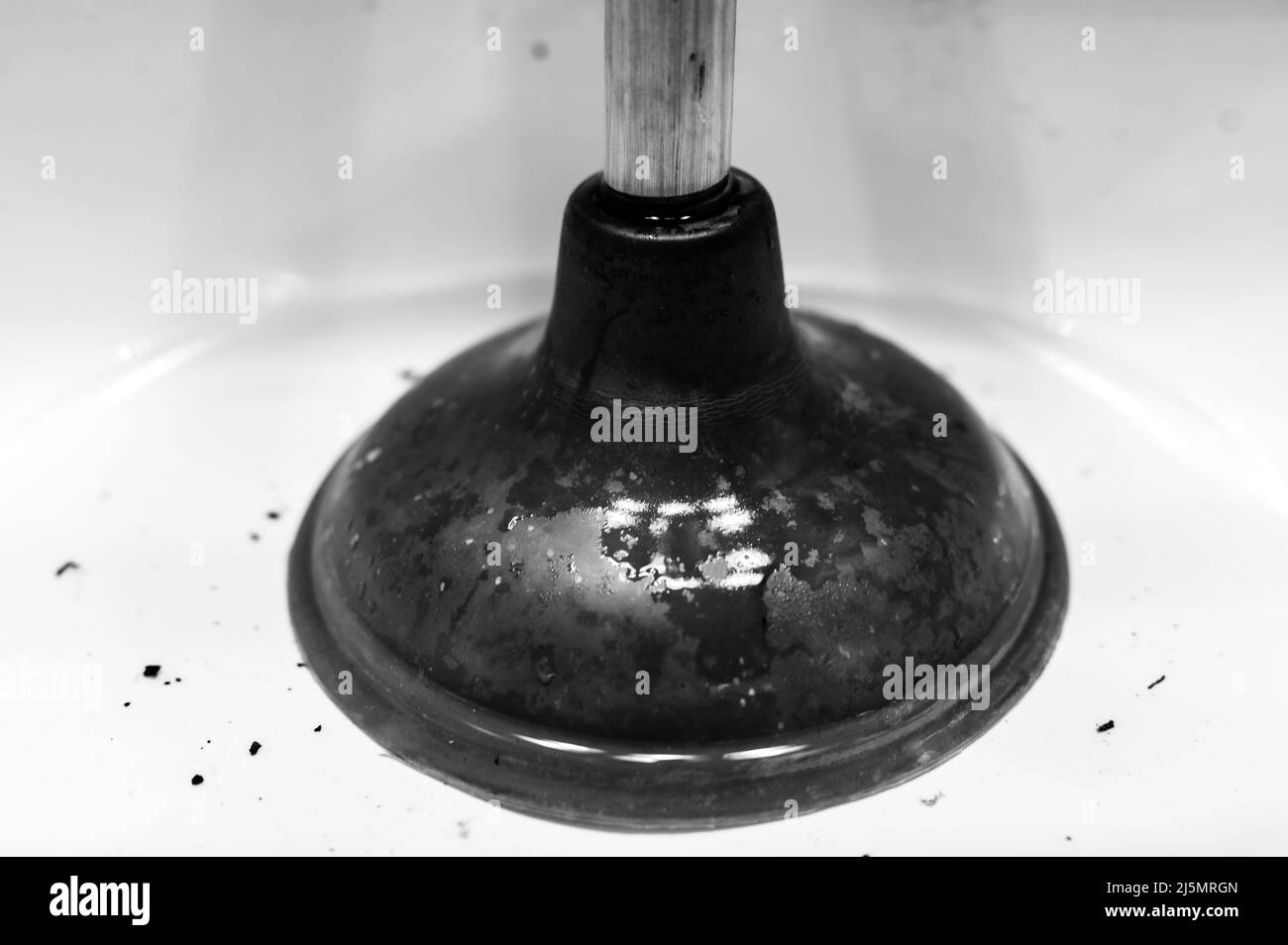 Usando uno stantuffo su un lavandino della stanza da bagno tappato con i capelli e lo Scrum in una piscina di acqua stagnante in piedi. Foto Stock