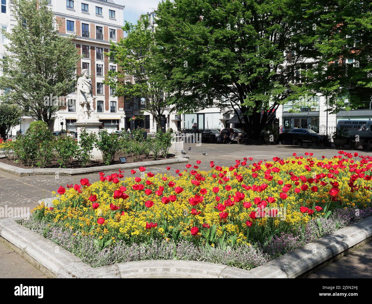 Una vista di Golden Square a Soho London UK in una soleggiata giornata di primavera con un letto di bellissimi fiori di primavera Foto Stock