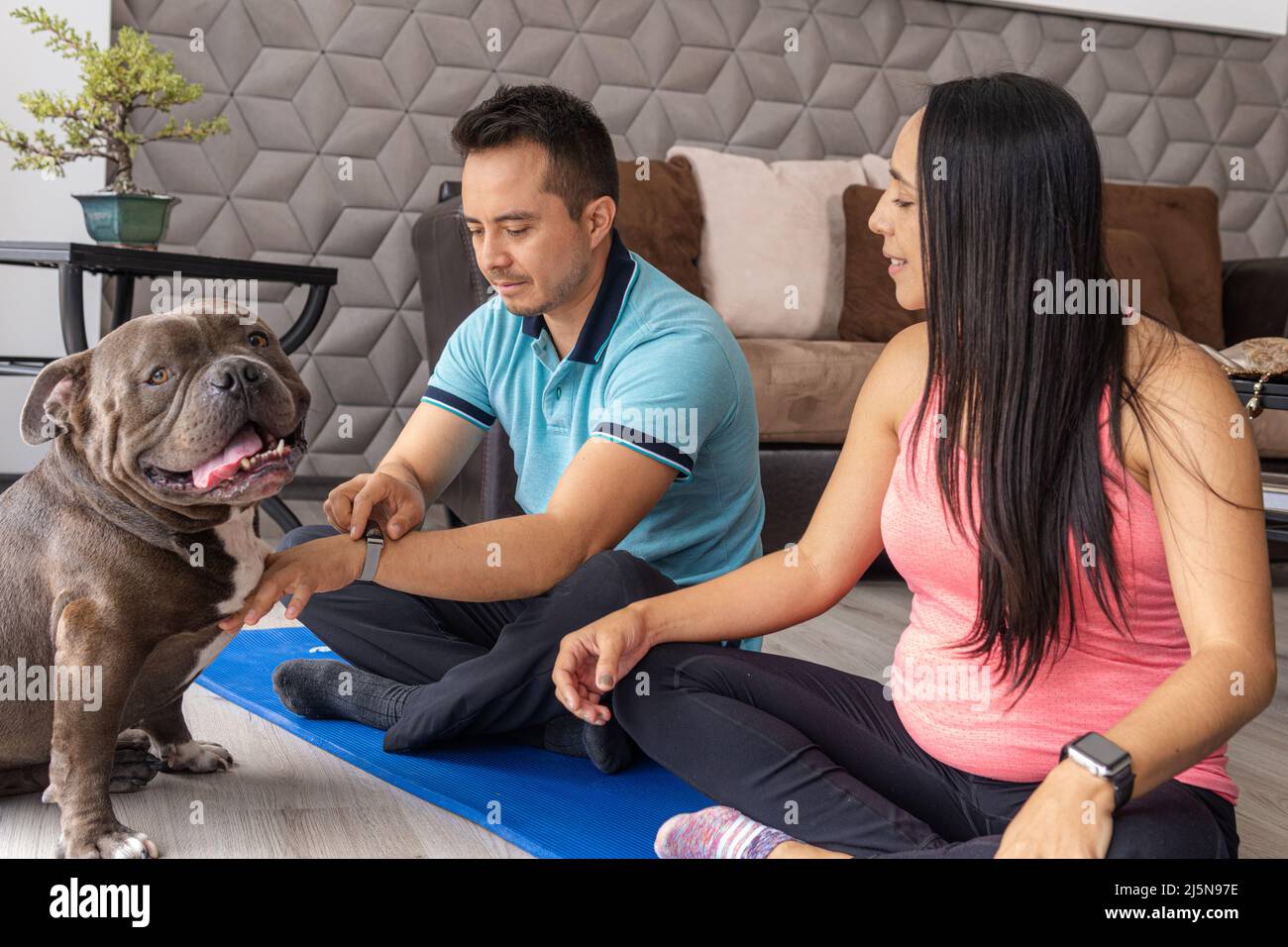 Un uomo incinta e una coppia di donne praticano lo yoga a casa e giocano con il loro cane da bulldog inglese Foto Stock