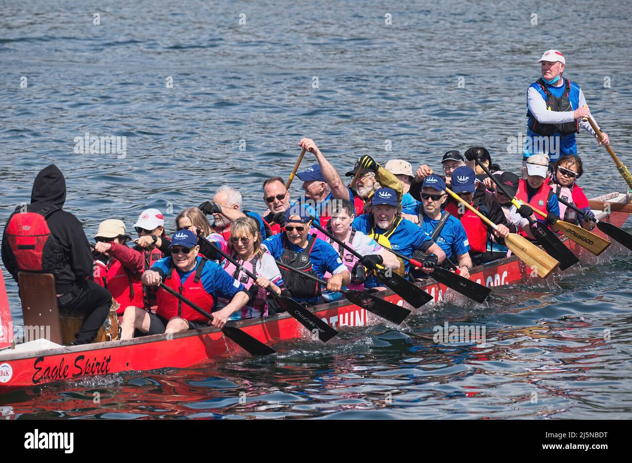 I concorrenti in una gara di dragon boat alla fine del loro calore nella Inlet Spring Regatta 2022. Rocky Point Park, Port Moody, B. C., Canada. Foto Stock