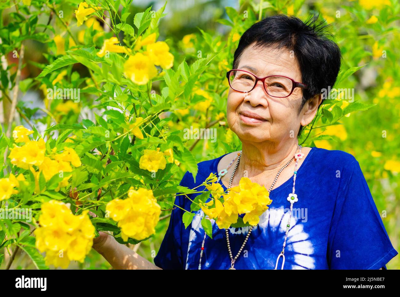 Ritratto di bella sorridente donna asiatica con fiore backgorund. Giornata internazionale delle persone anziane concetto. Foto Stock