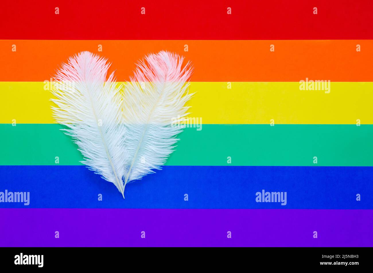 Due piume bianche si fondono come forma d'amore su sfondo carta colorato per minimal Pride Day, LGBTQ e concetto di libertà. Foto Stock