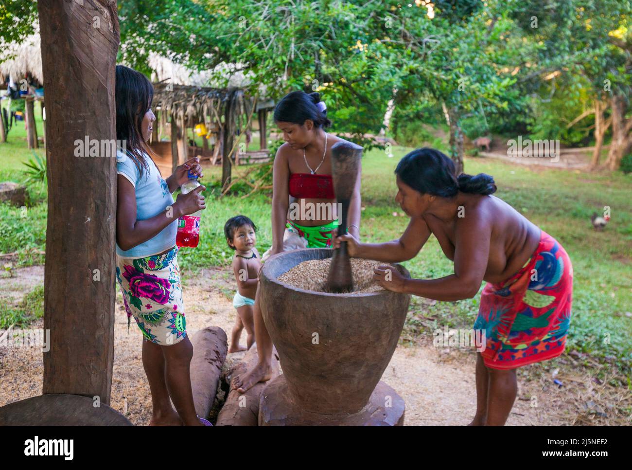 Una donna indiana di Embera con la sua famiglia sta preparando la raccolta di riso prima di cucinare a Rio Mogue, provincia di Darien, Repubblica di Panama, America Centrale Foto Stock