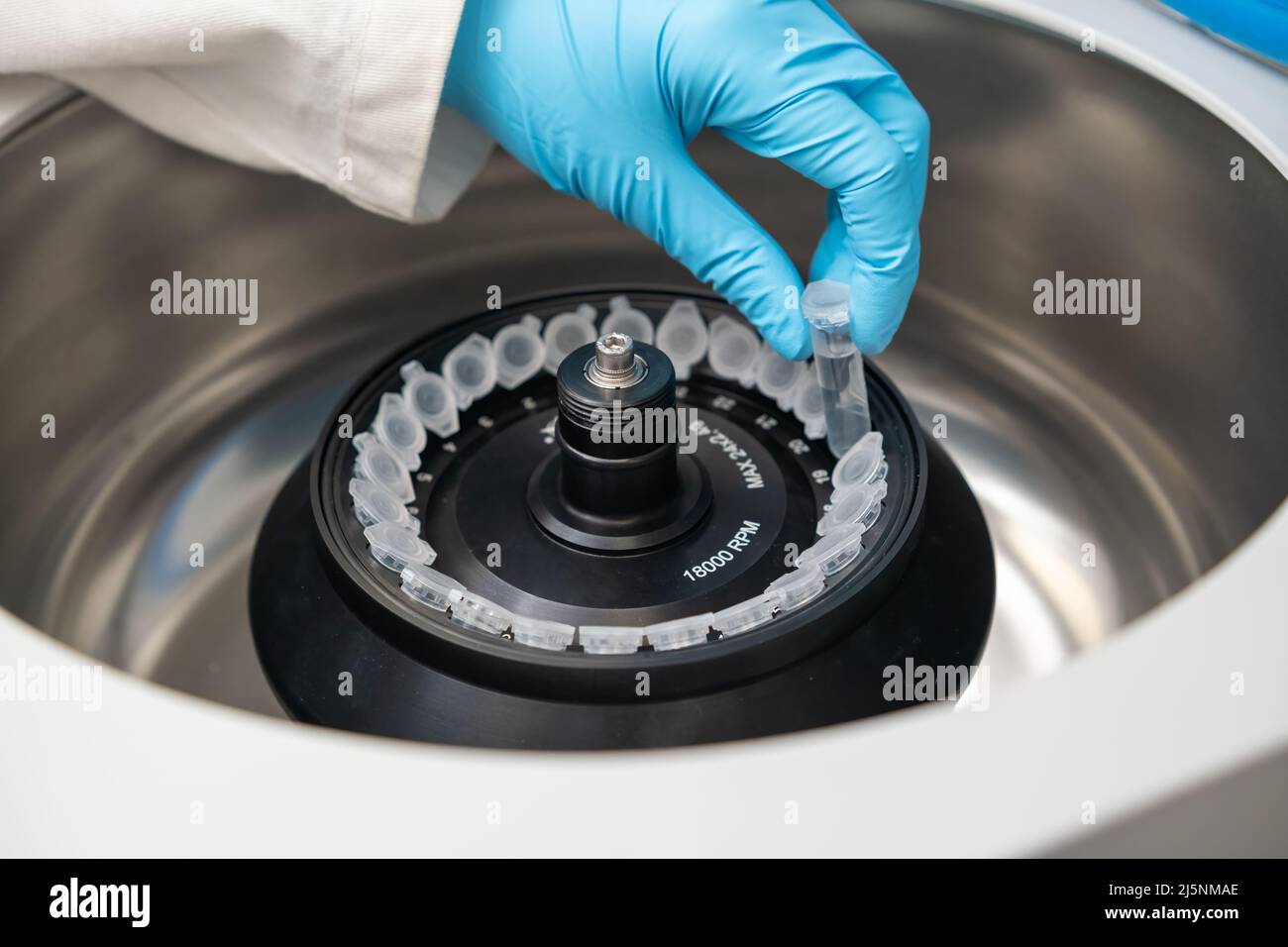 Lo scienziato inserisce le provette per microcentrifuga nella centrifuga per la separazione delle fasi. Analisi di DNA e cellule presso il laboratorio di microbiologia. Foto Stock