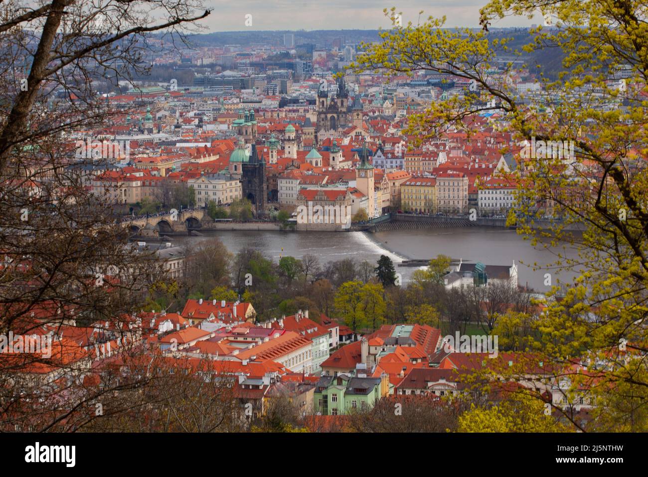 Vista su alberi del centro storico di Praga con Ponte Carlo, chiese e cattedrali, tetti rossi. Foto Stock
