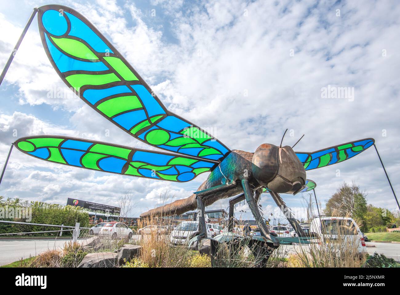 Una spettacolare scultura gigante di dragonfly in un centro giardino di Shrewsbury e commissionata da Salop Leisure. Visto per la prima volta allo Shrewsbury Flower Show. Foto Stock