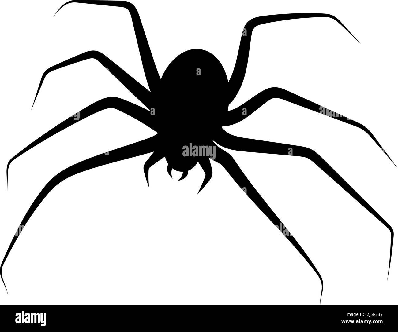 Illustrazione Vettoriale di carino divertente verde ragno sorridente  vestita di nero halloween witch hat. Cartoon spider carattere isolato su  sfondo bianco. Cifra Immagine e Vettoriale - Alamy