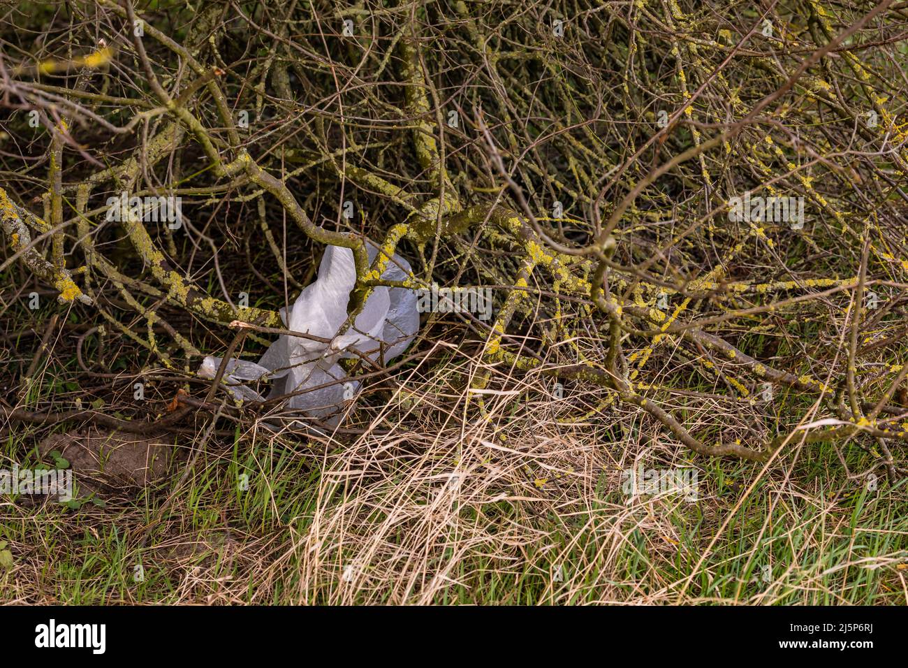 I rifiuti di plastica come un sacchetto di plastica non si decomporsi nel nostro ambiente Foto Stock