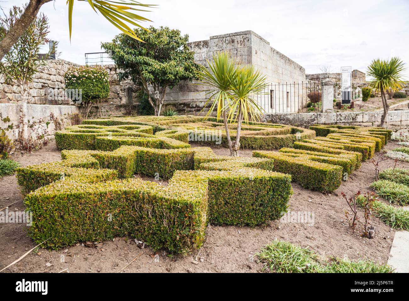 illustrazione con cespugli Foto Stock