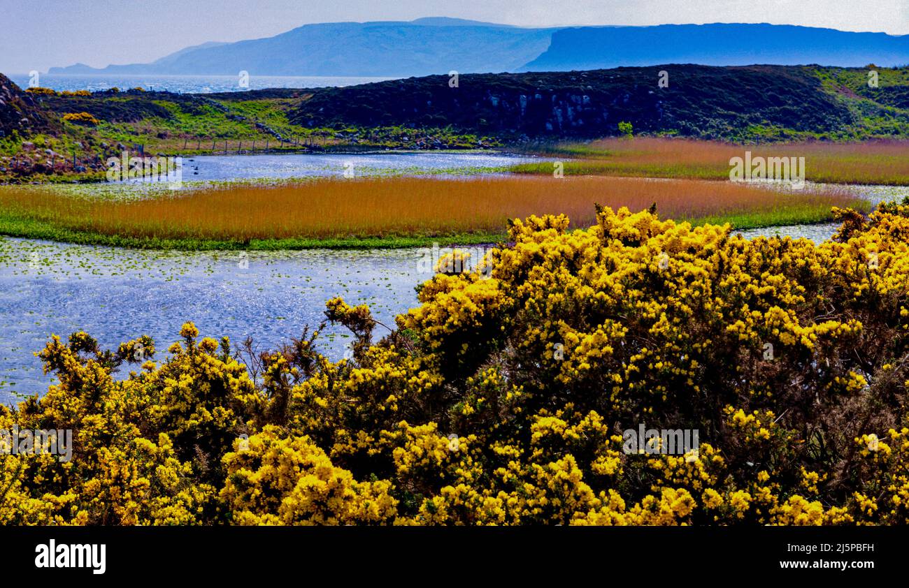 Rathlin Island, County Antrim, Irlanda del Nord guardando verso Fair Head Foto Stock