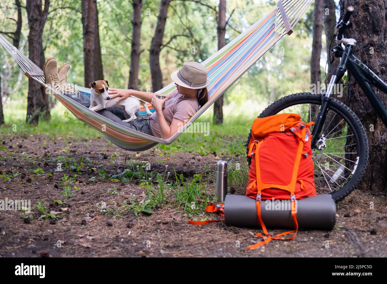 Donna caucasica si trova in un'amaca con Jack Russell Terrier cane in una pineta Foto Stock