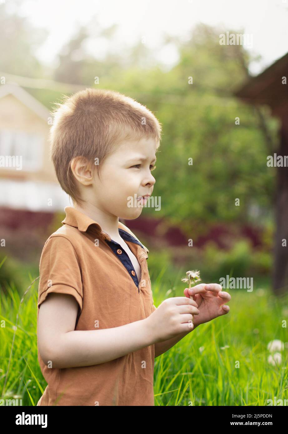 Un ragazzo di 5 anni tiene un dente d'leone in estate fuori nel villaggio in una giornata di sole, guardando lontano dalla macchina fotografica Foto Stock