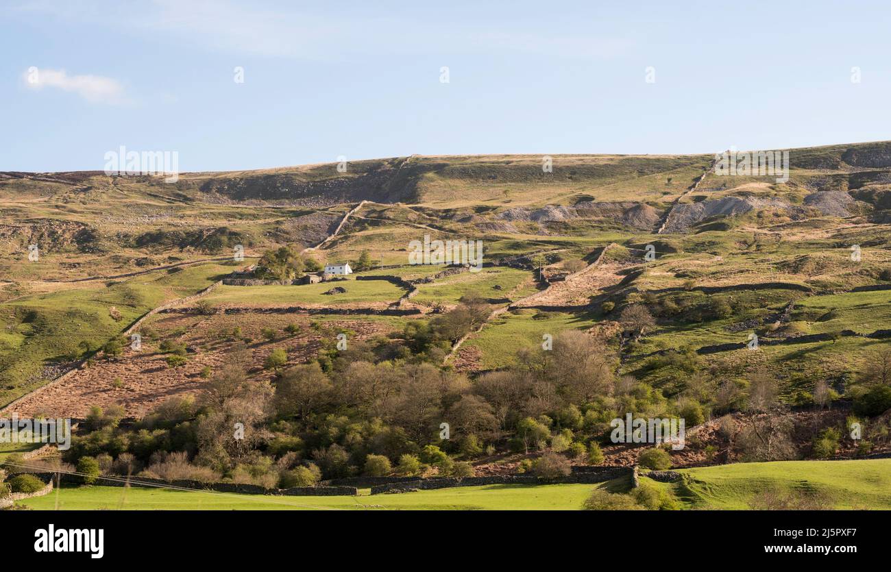 Campagna a est del villaggio Reeth, nel North Yorkshire, Inghilterra, Regno Unito Foto Stock