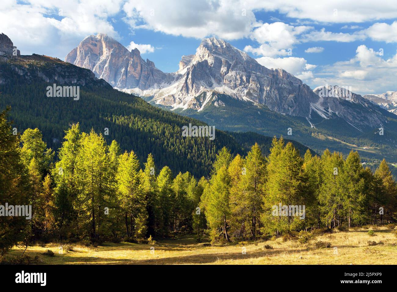 Larice e Tofano, Tofana o le Tofane Gruppe, Alpi Dolomiti montagne, Italia Foto Stock