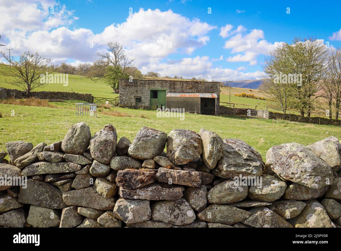 Fattoria capannone sul Lake District cadde, capannone di pecore / capannone di bestiame Foto Stock
