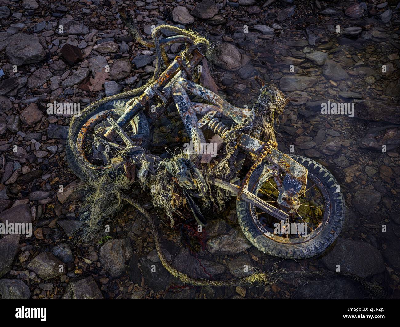 La vecchia bicicletta arrugginita si è lavata sul lato del fiume, Pennsylvania, Stati Uniti Foto Stock