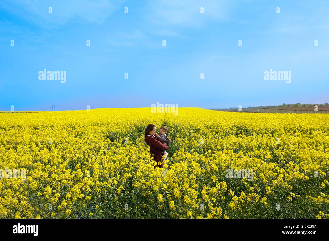 Madre Ucraina e il suo bambino in un campo di fiori gialli e un cielo blu sopra. Bandiera Ucraina e concetto di pace Foto Stock