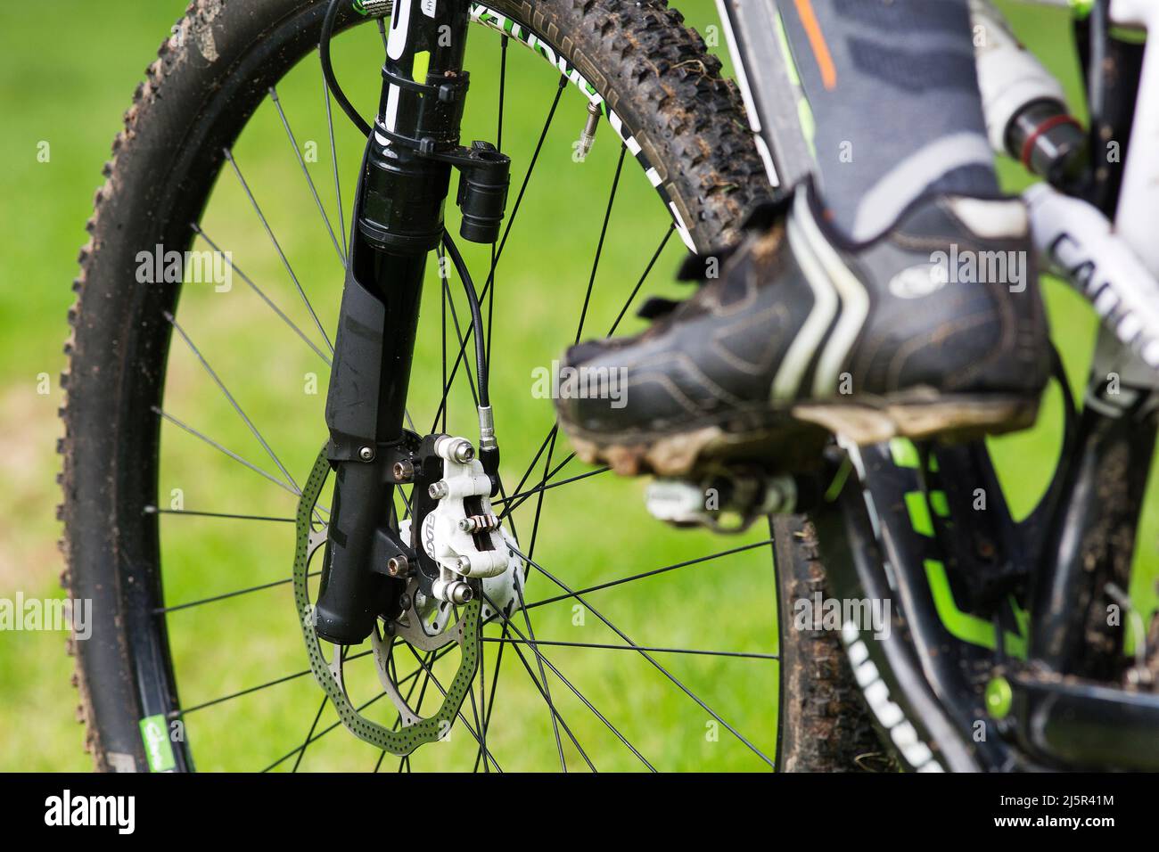 freno anteriore della mountain bike con impianto idraulico sul freno a disco Foto Stock